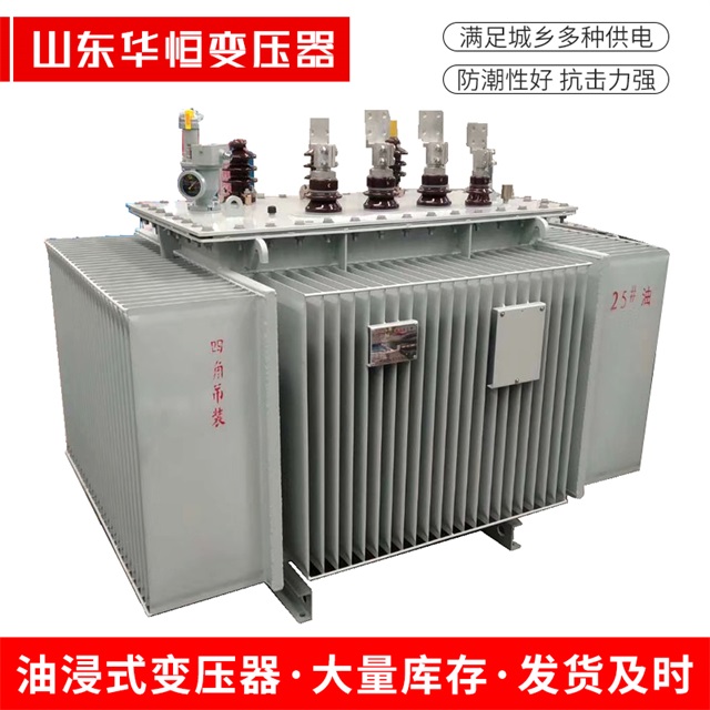S13-10000/35东兴东兴东兴电力变压器厂家